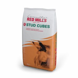 Stud Cubes