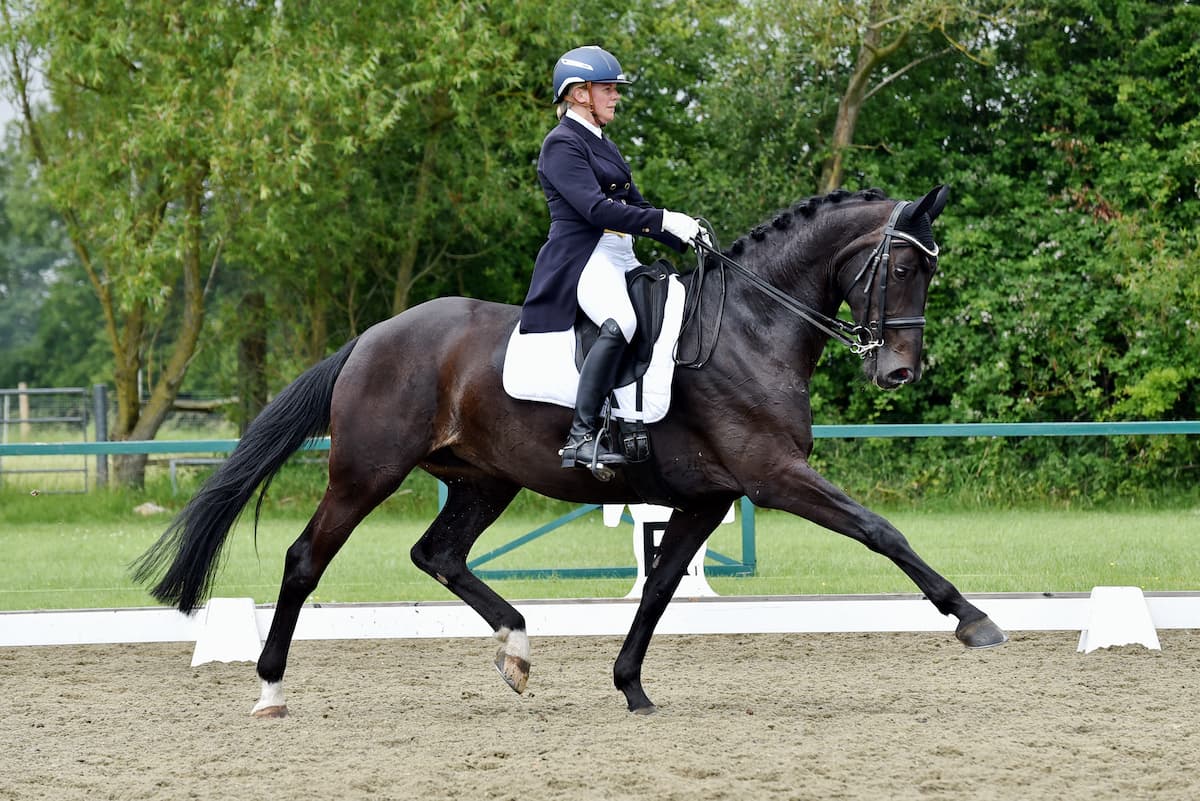 Heike Holstein 