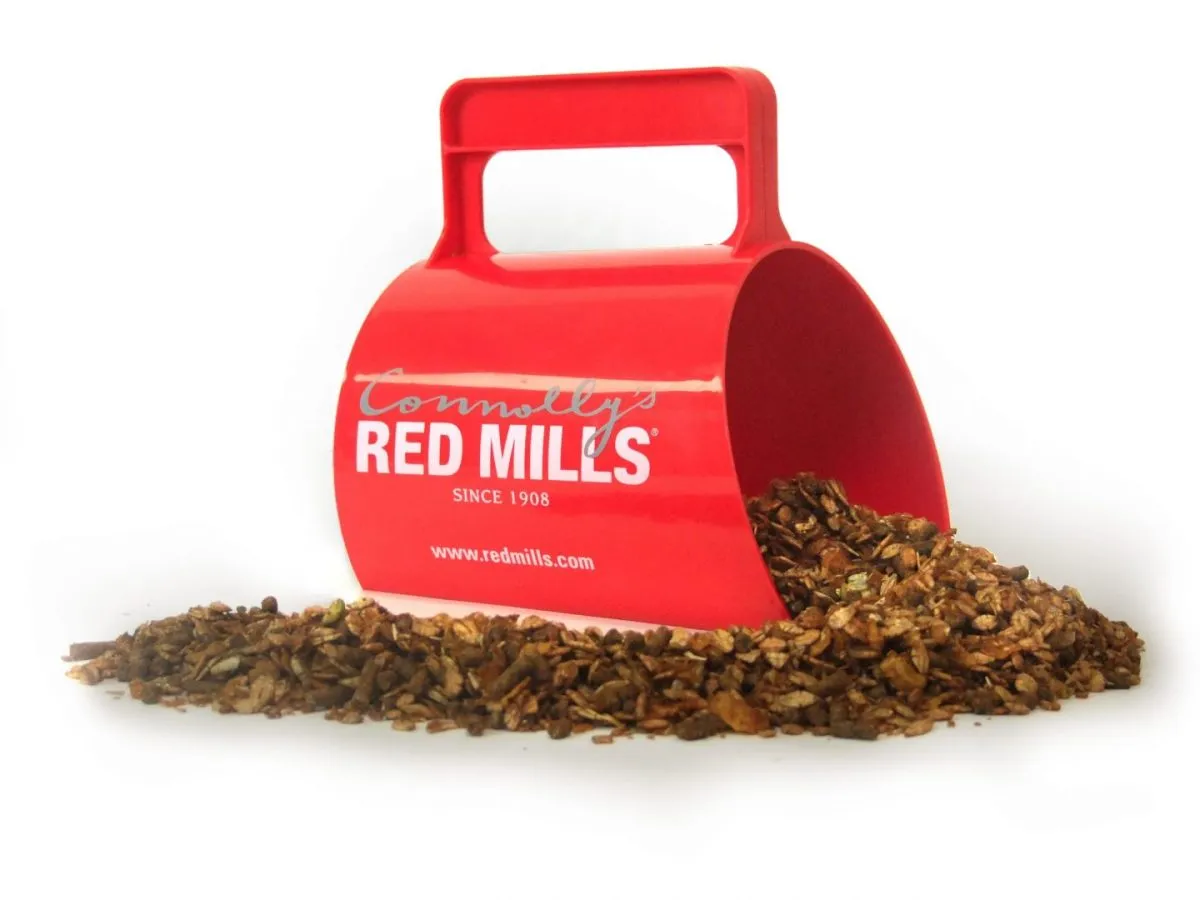 Why is molasses added to Connolly’s RED MILLS feeds?