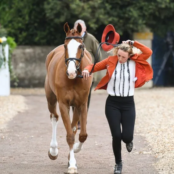 Camilla with competition horses