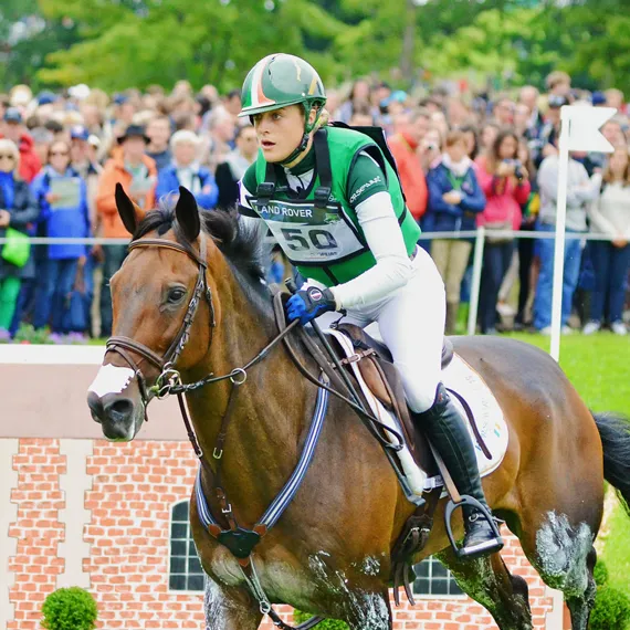 Horse Care 10 for riding horses