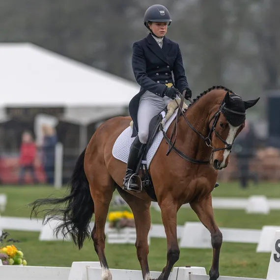best feed for laminitic horses