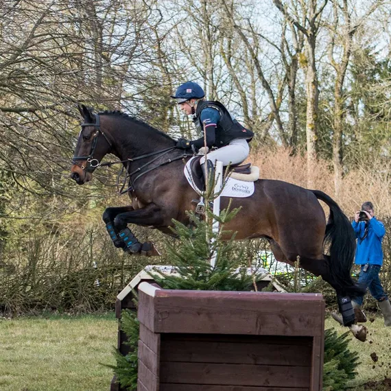 Best feed for Performance horse