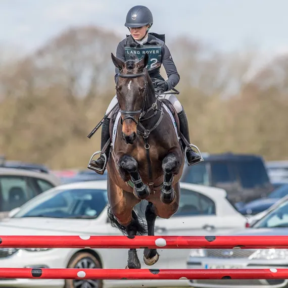 best conditioning mash for horses