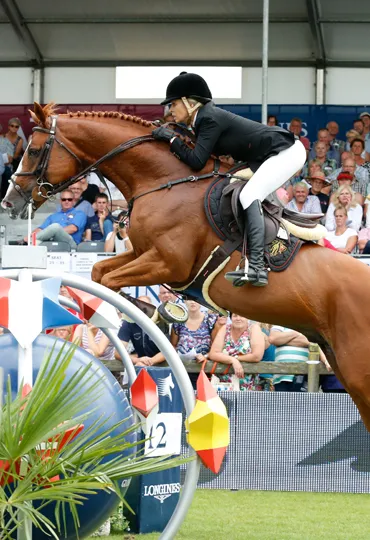 high energy feed for lazy horse