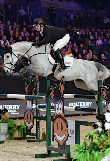 performance horse feed