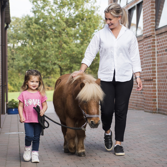 horse food pellets