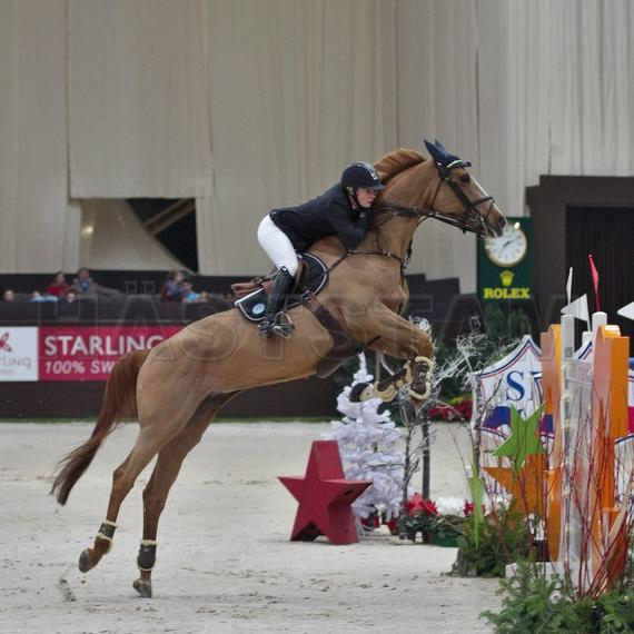 platinum performance horses