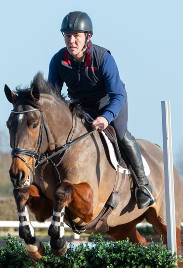 cereal free horse feed for jumping horse