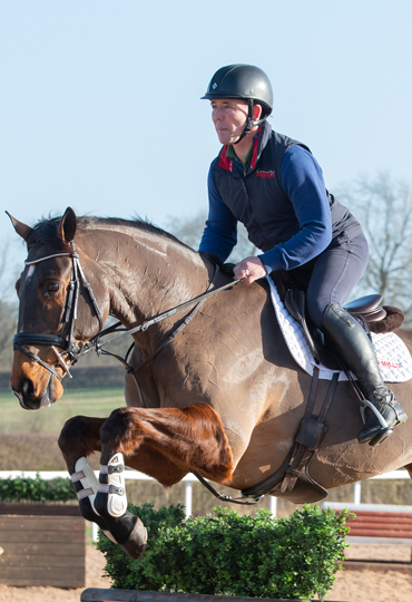 horse feed for energy without weight gain