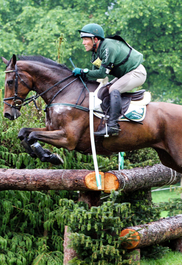 sweet feed mash for jumping horse