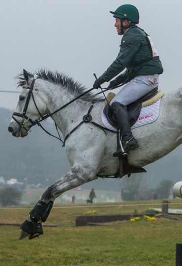 bran mash horse feed for racing horse