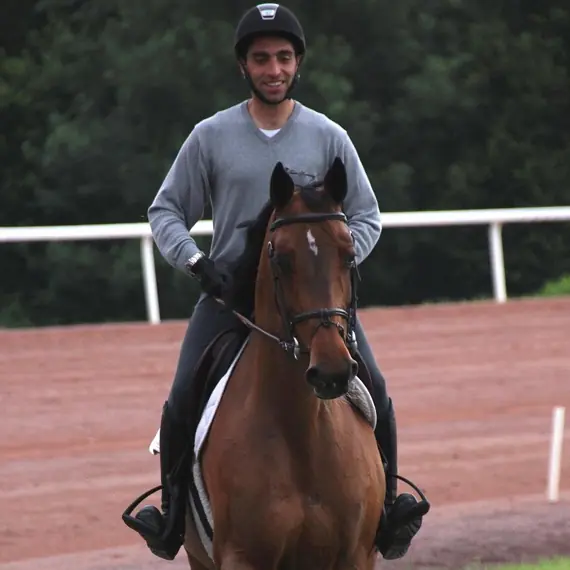 10% Cool ’N’ Cooked Mix for healthy horse