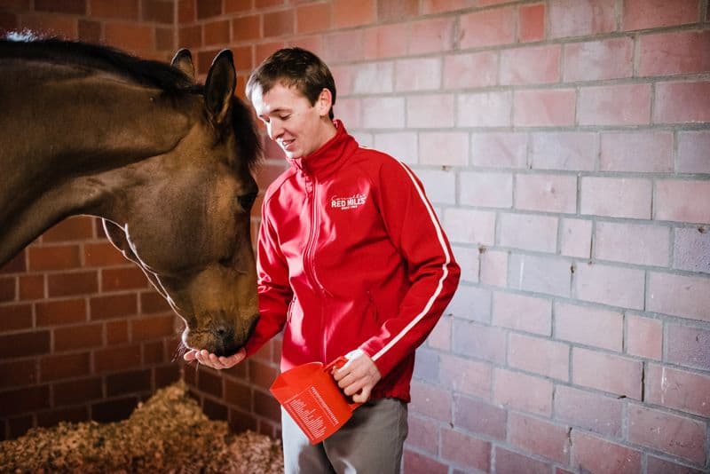 Feeding the older competition horse