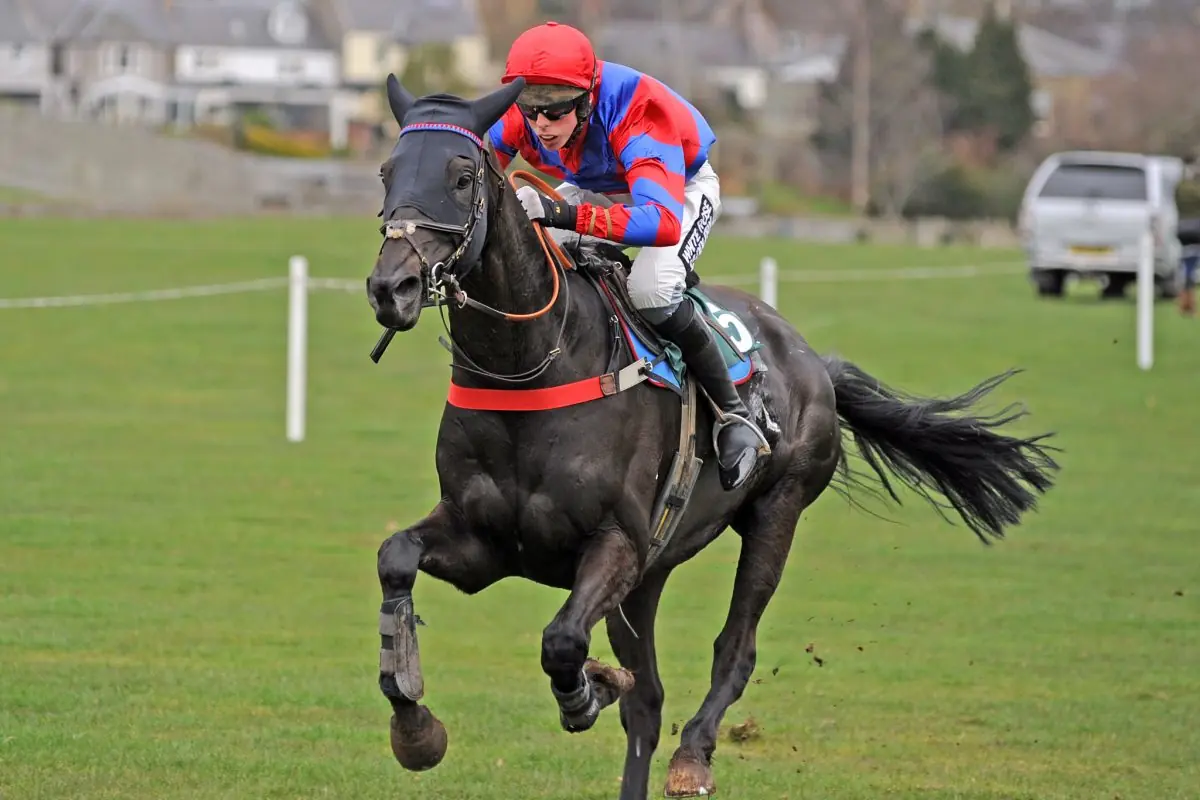 Racehorse Bone Health