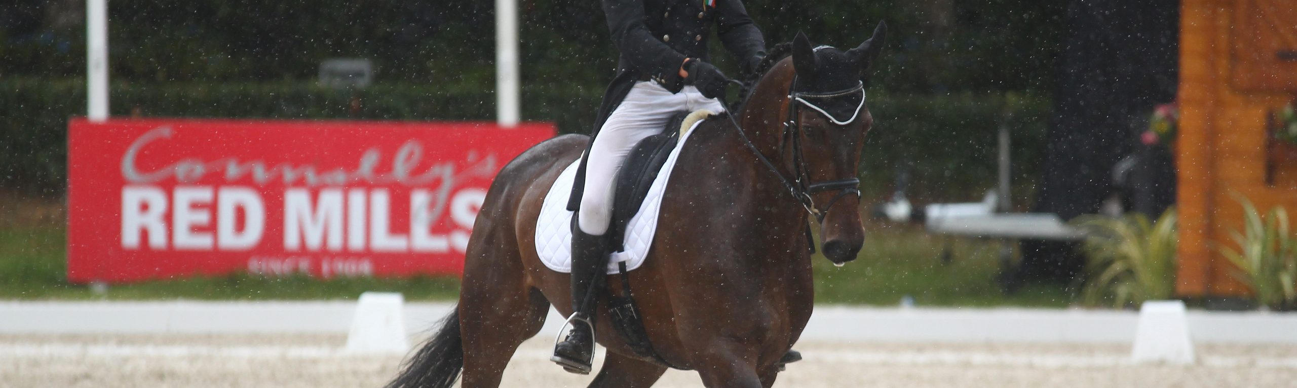 Brilliant result for Heike and Sambuca in Belgian Grand Prix