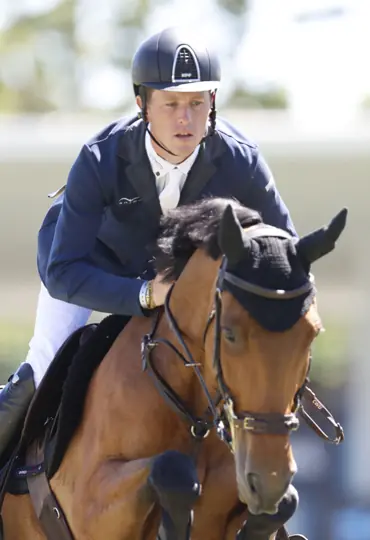 racehorse cube for jumping horse