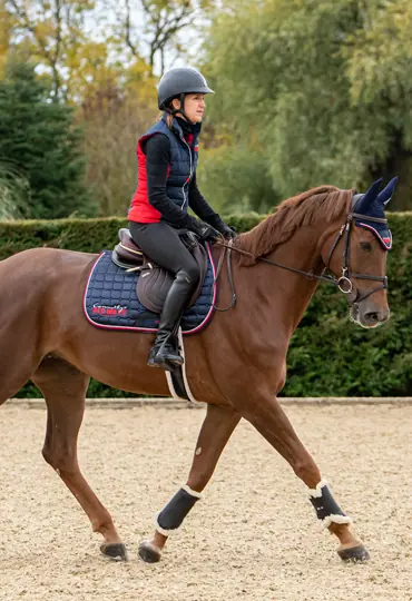 high energy low protein horse feed
