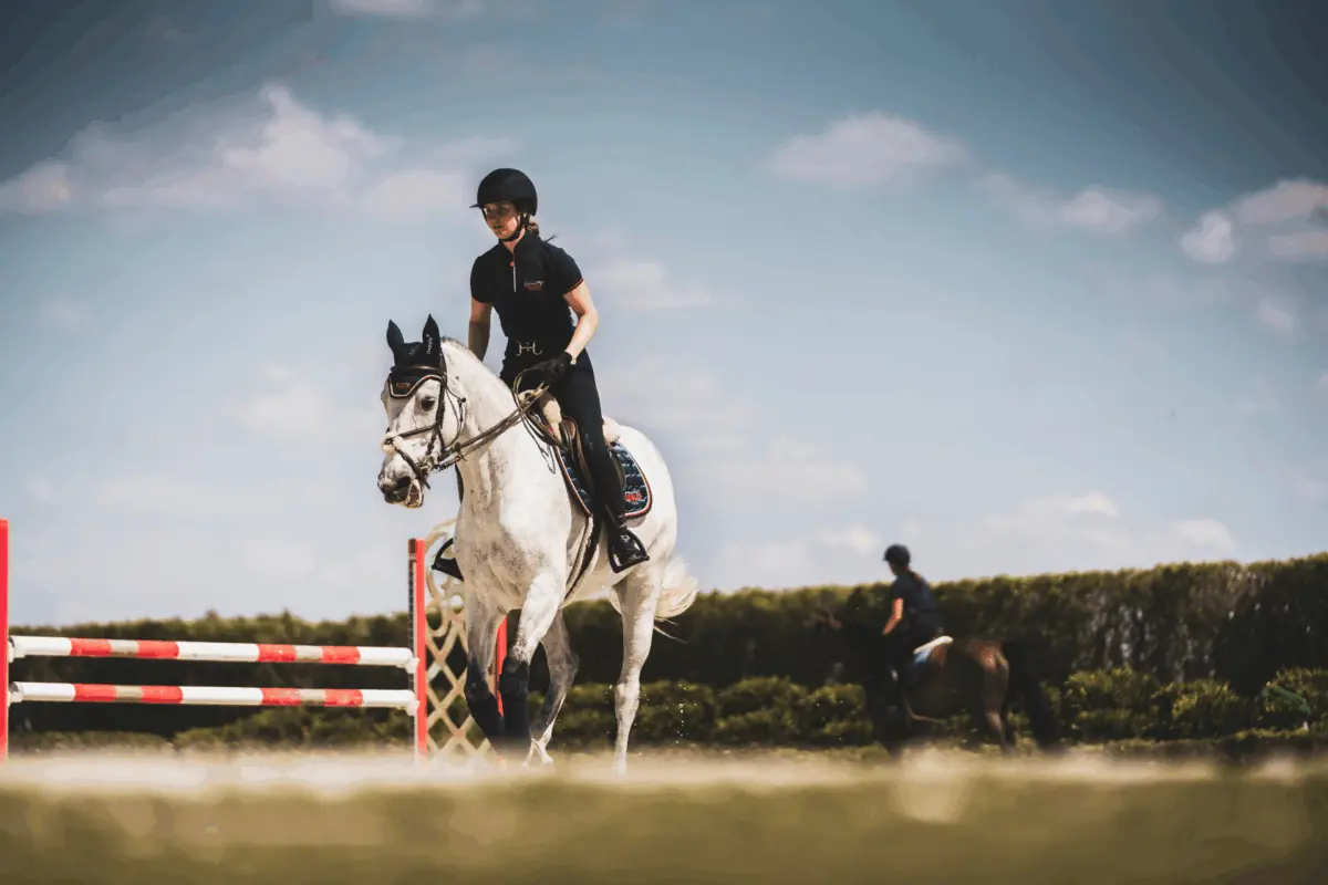 Is your horse hydrated?
