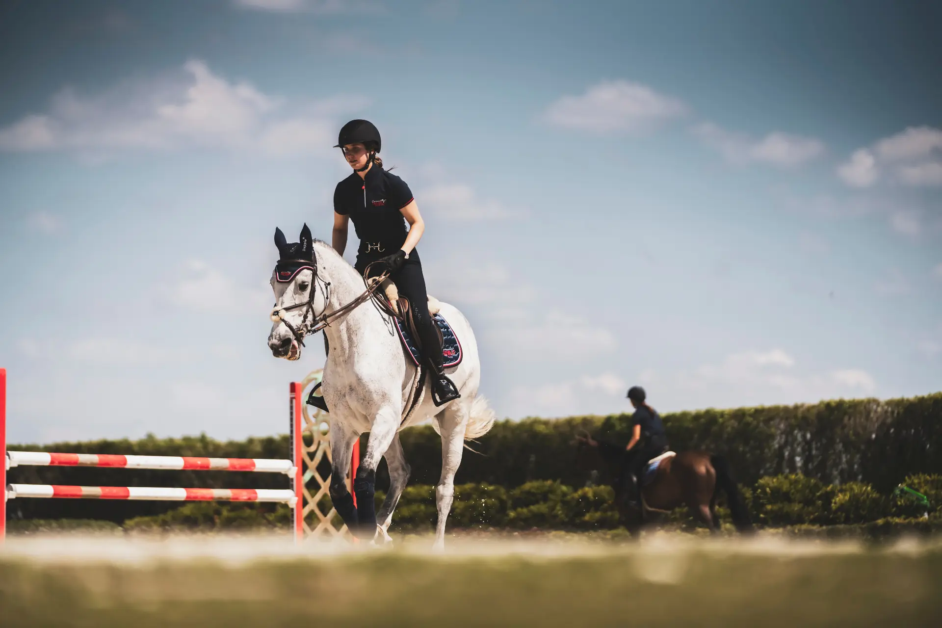 Is your horse hydrated?