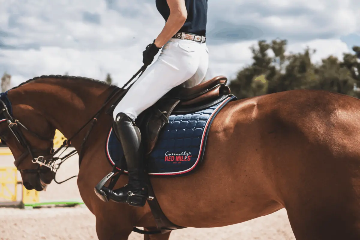 Gastric ulcers (EGUS) in the performance horse