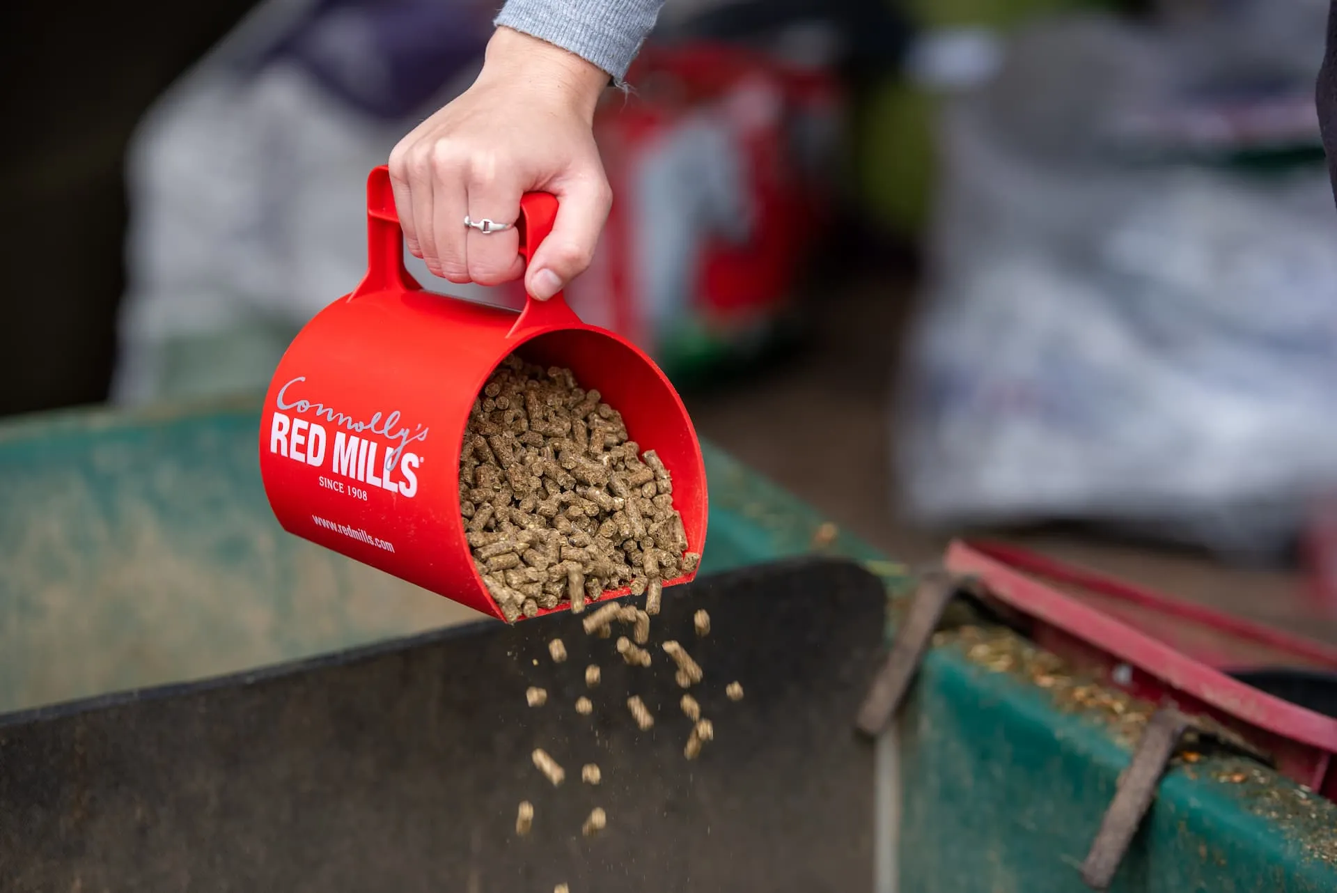 10 Rules of Feeding