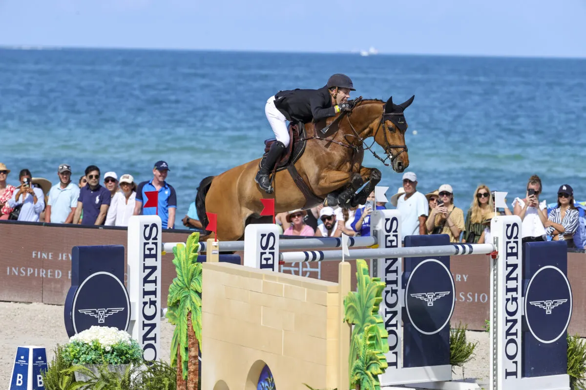 Feeding the Showjumper