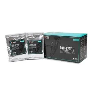 Equi-Lyte Sachets