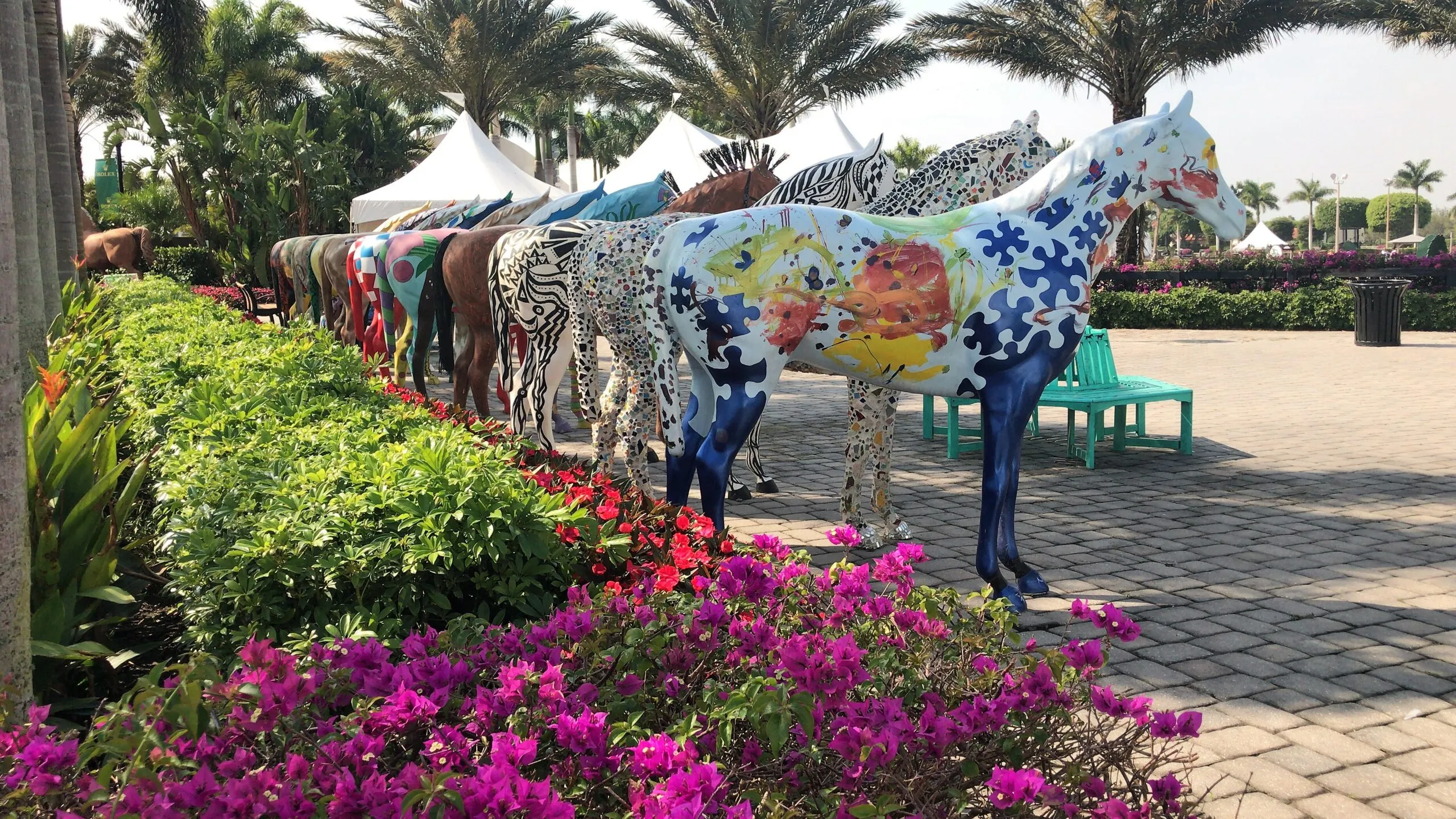 Struggling with the transition to Florida?