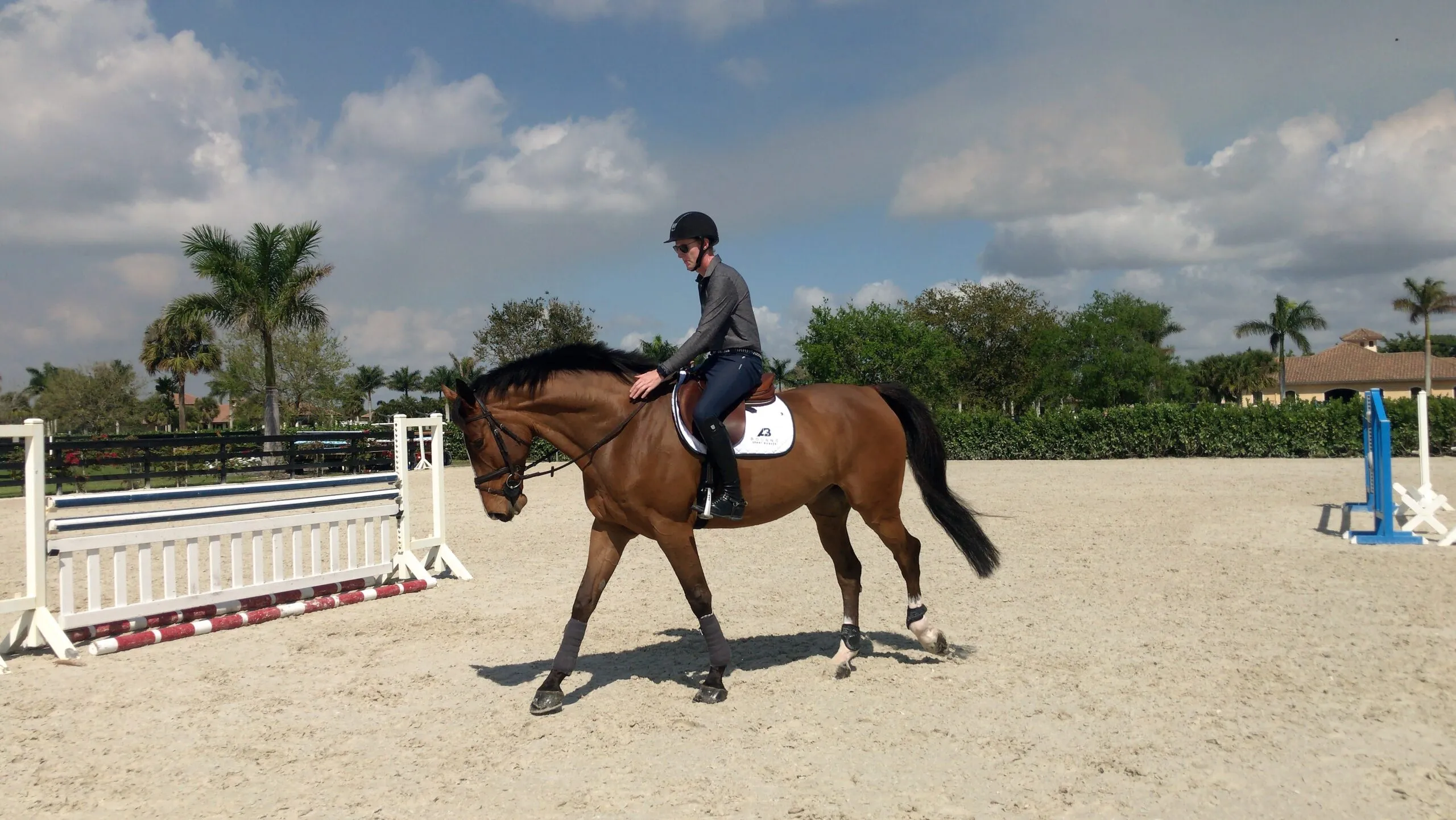Energy sources used in the formulation of horse feeds