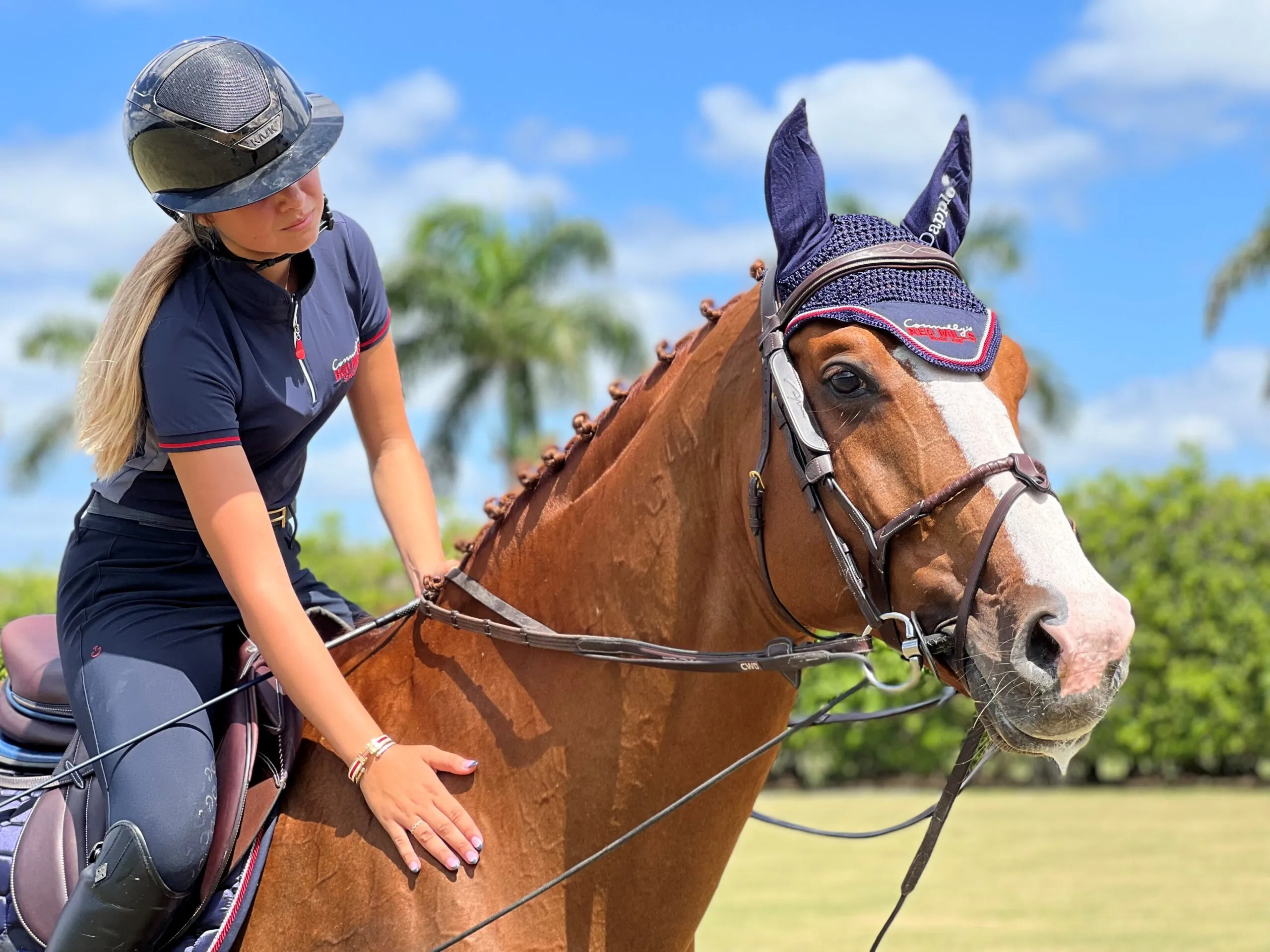Why is RED MILLS Comfort Mash for horses the best choice this competition season?