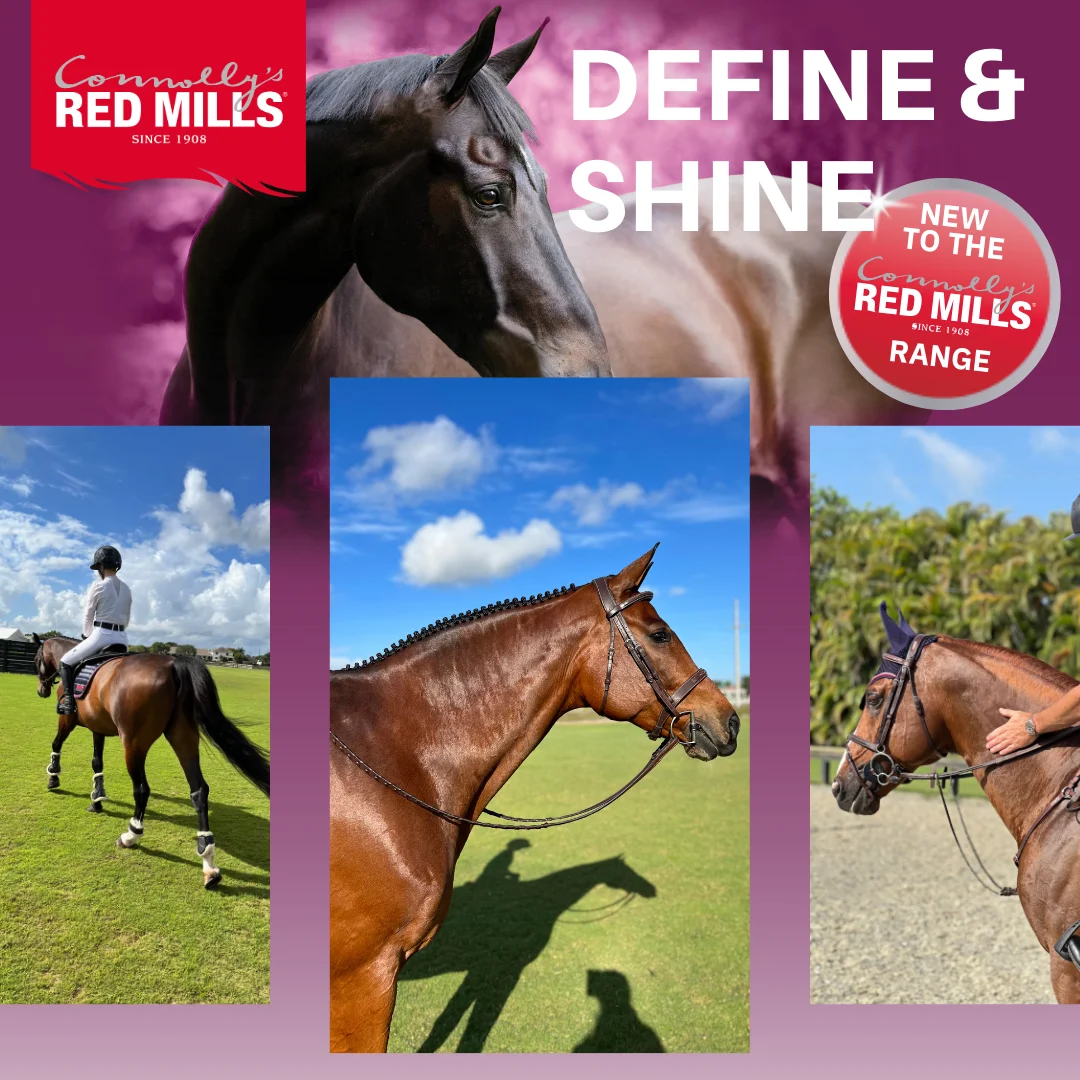 Adding Calories to your horses diet without the Fizz