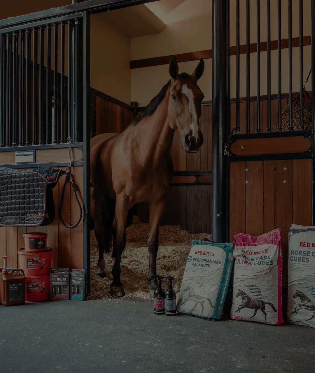 Precision nutrition excellence for every horse