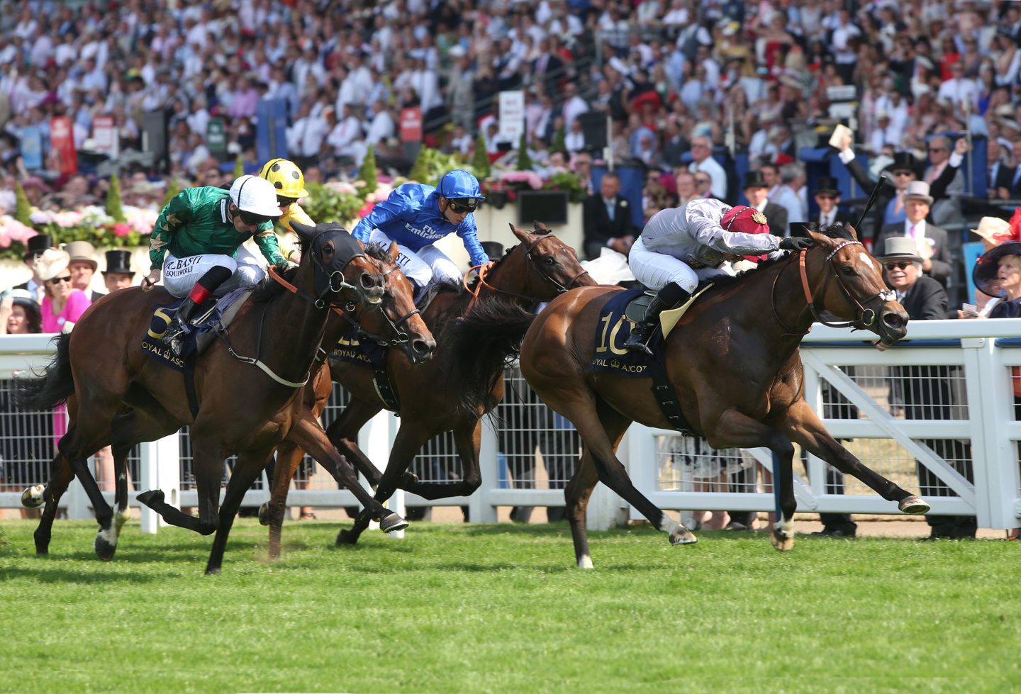 Quelle alimentation chosir pour mon cheval en cas de myosite ?
