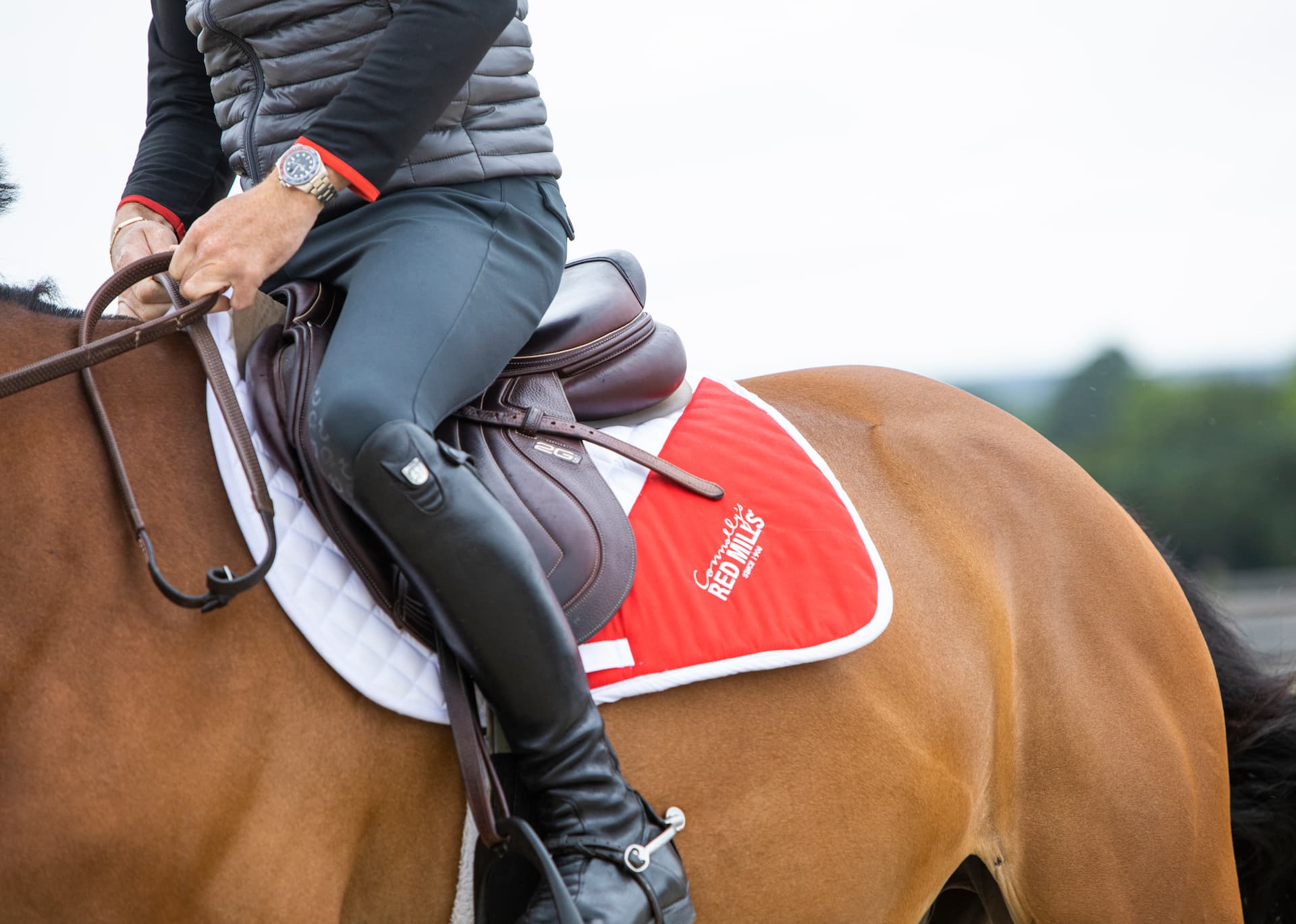 Gérer l’alimentation du cheval en période de charge de travail réduite