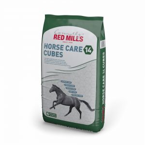 Horse Care 14 Cubes