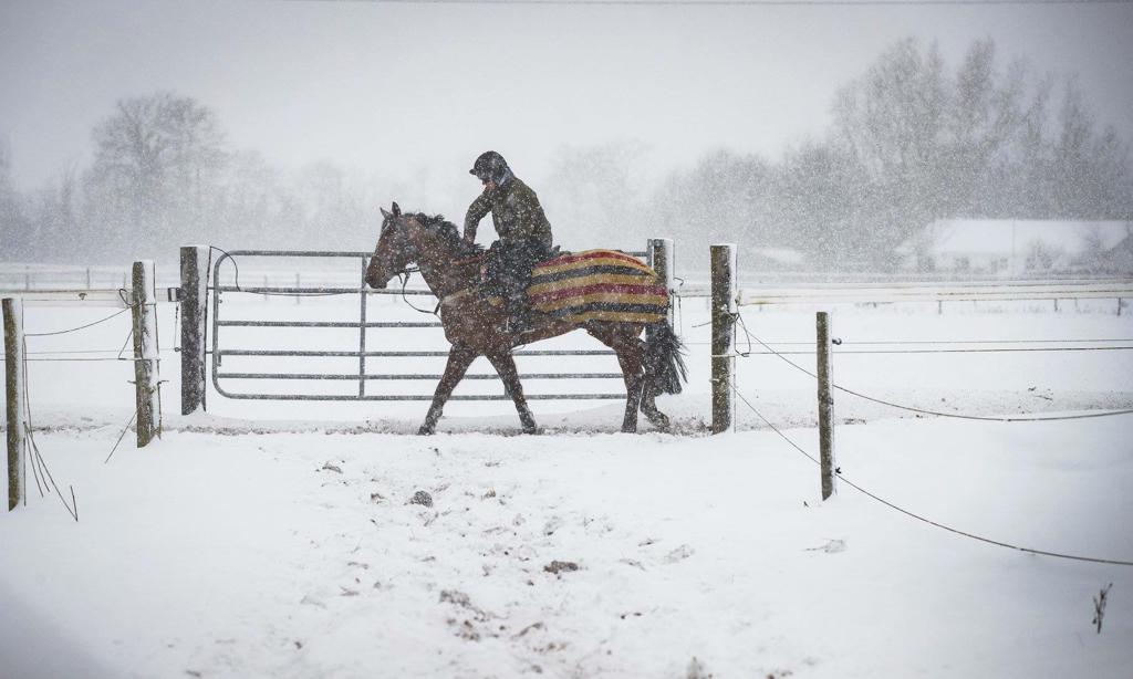 Les gestion des chevaux en hiver
