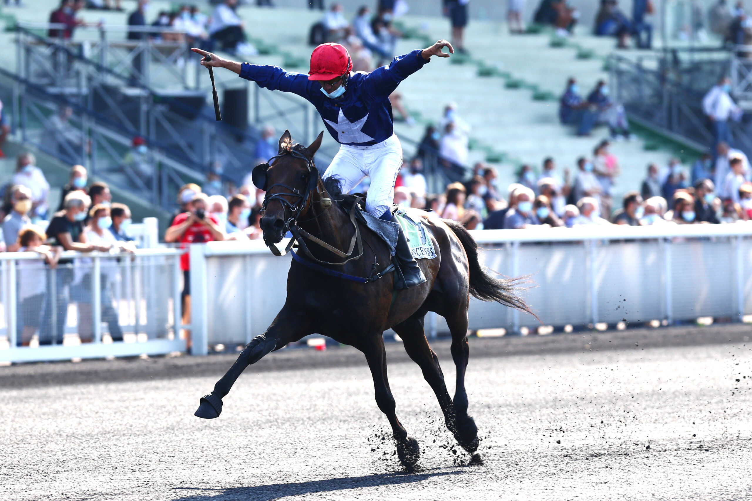 L’alimentation du cheval de trot pour l’énergie et l’endurance