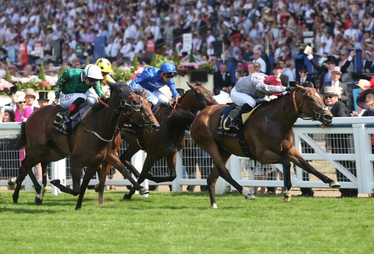 Quelle alimentation chosir pour mon cheval en cas de myosite ?
