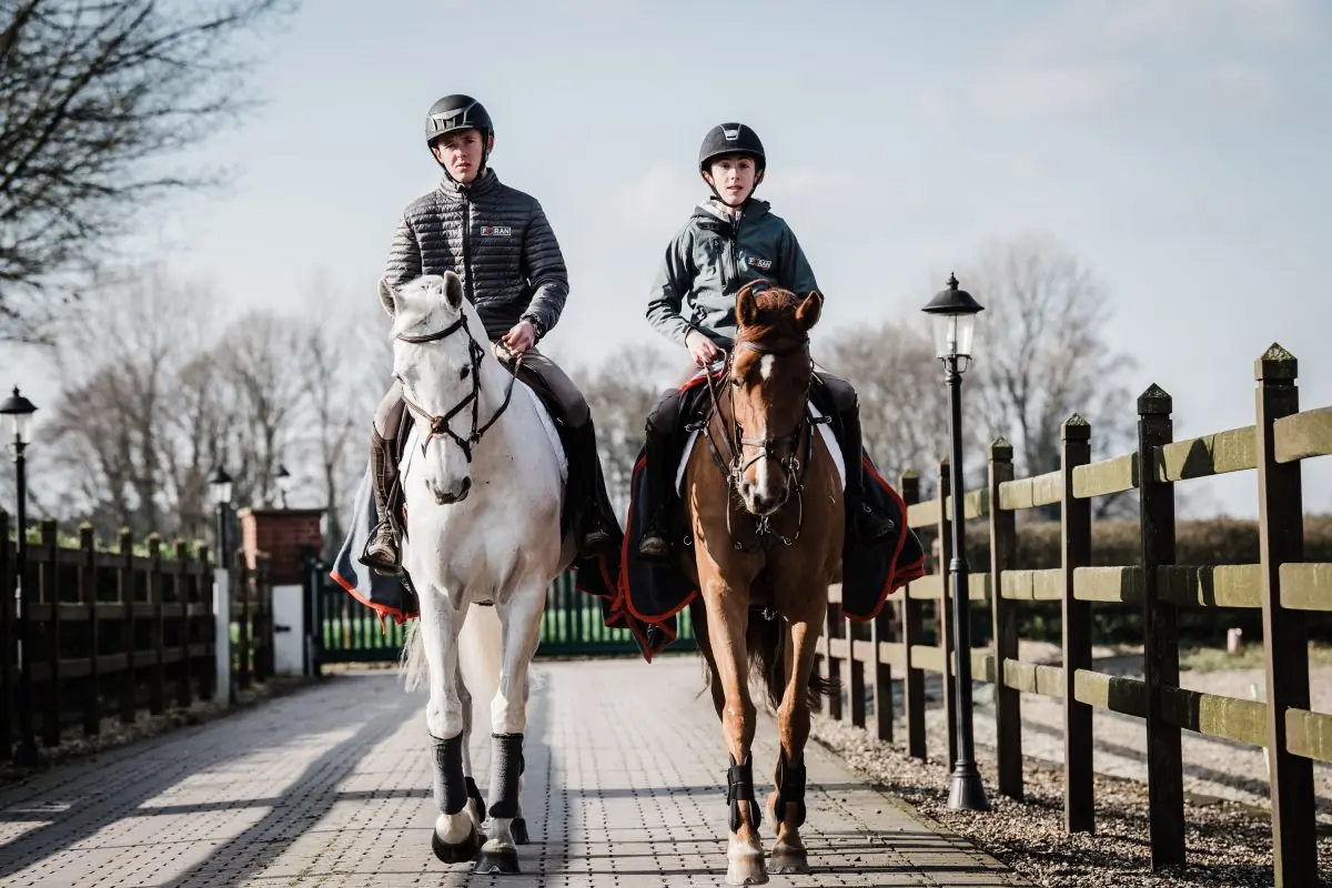 Comment bien nourrir son cheval avant ou lors d’une compétition ?