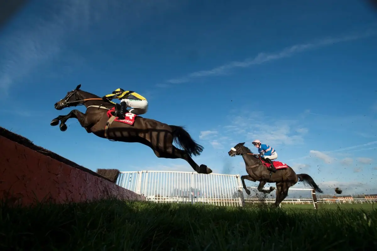Nourrir le cheval de courses d’obstacles