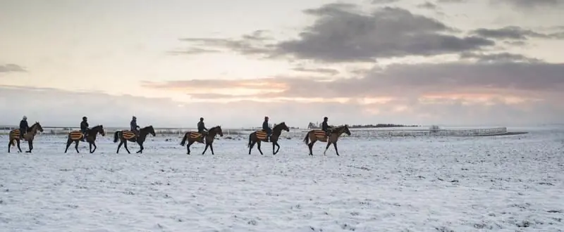 Comment préparer mon cheval pour l’hiver ?