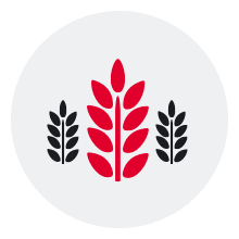 Naturalne składniki