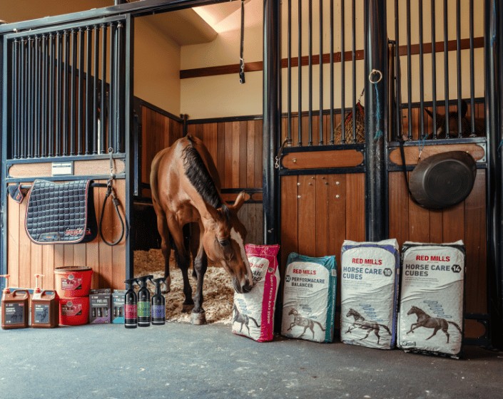 Connolly's RED MILLS przez lata poszerzało swoją wiedzę specjalistyczną dzięki naszym siostrzanym markom Foran Equine Supplements oraz Carr & Day & Martin horse care.