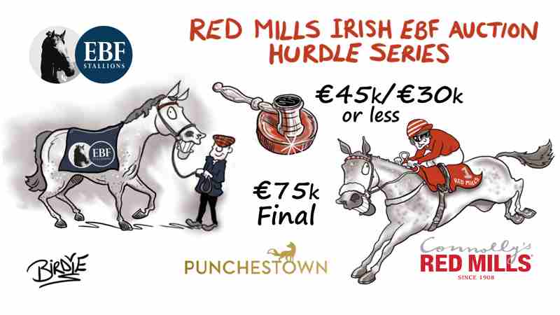 €75,000 RED MILLS Irish EBF Auction Series Final Announced for Punchestown Festival