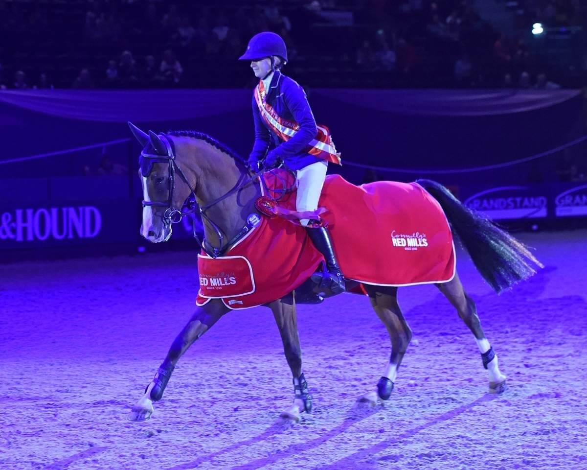 Record breaking HOYS Champion Nicole, hopes for fourth title