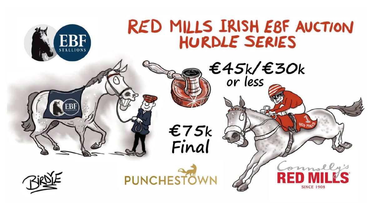 Local Fellow Fahey has Dream to win RED MILLS Irish EBF Auction Hurdle Series Final yet again