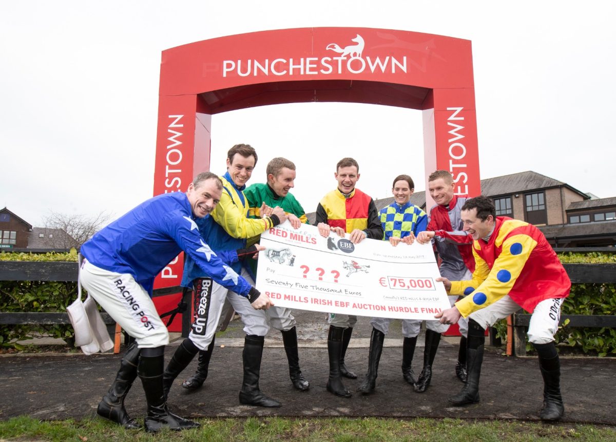 High class entries for RED MILLS Irish EBF Auction Series Final at Punchestown