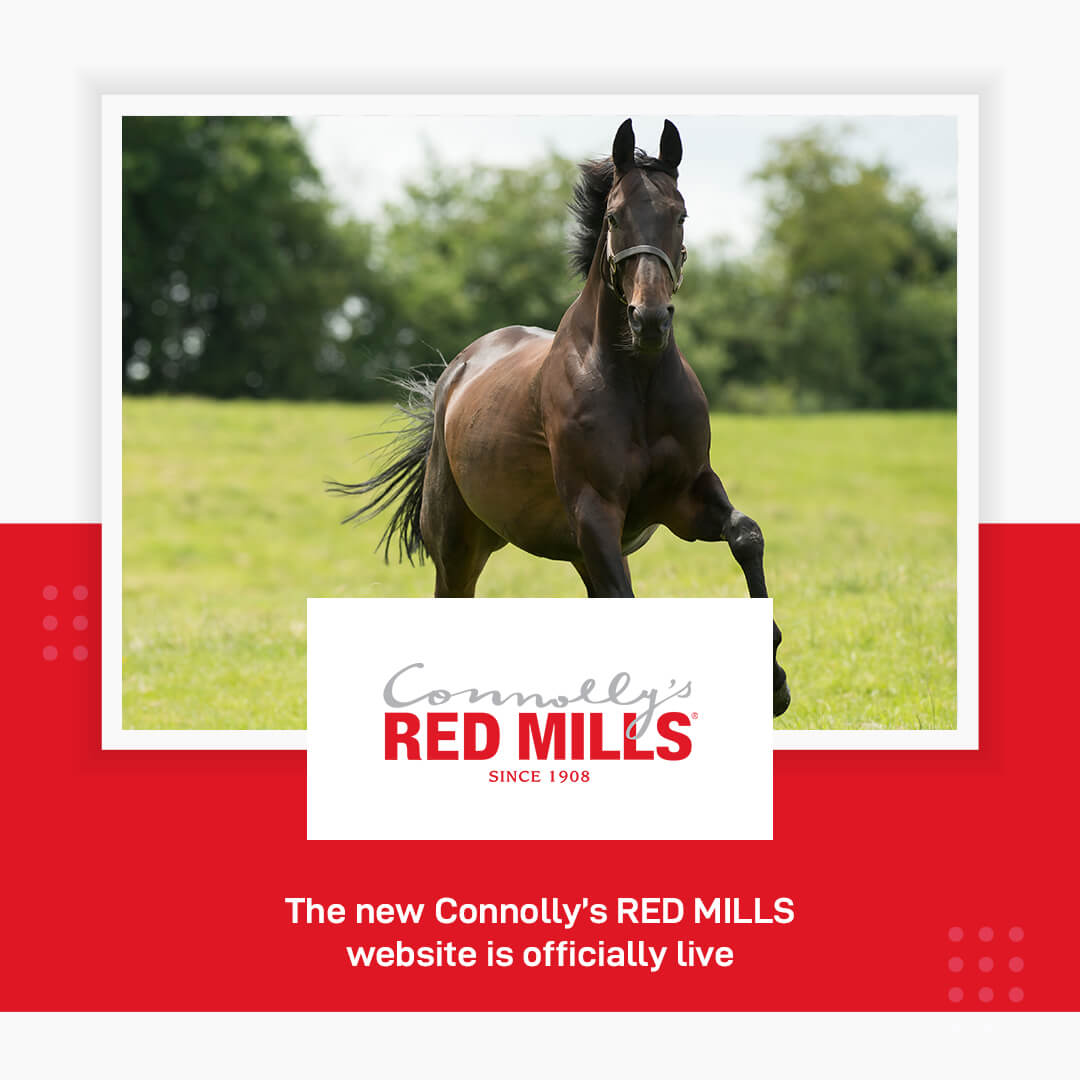 Official launch of the new Connolly’s RED MILLS website