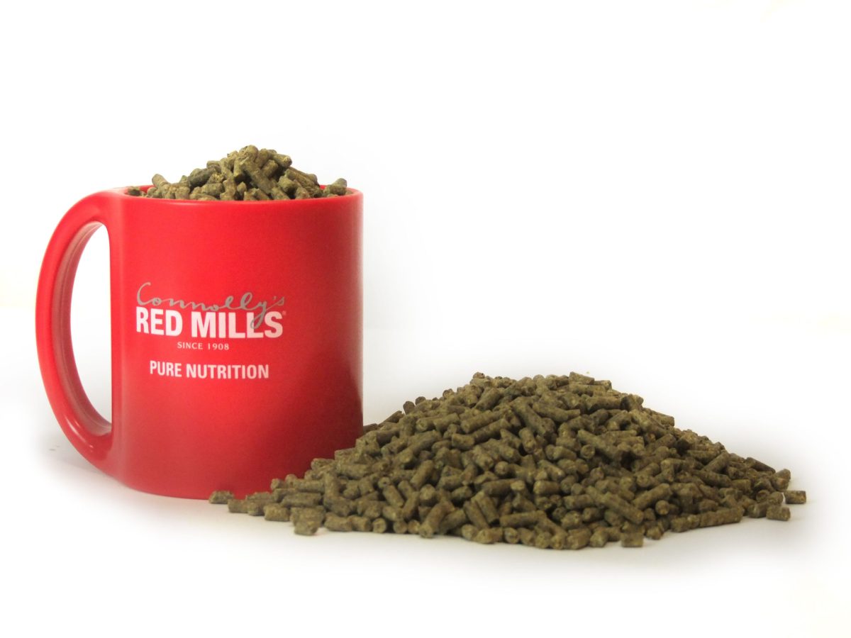 For horses prone to hotting up, what types of feeds can help them keep calm and concentrate?